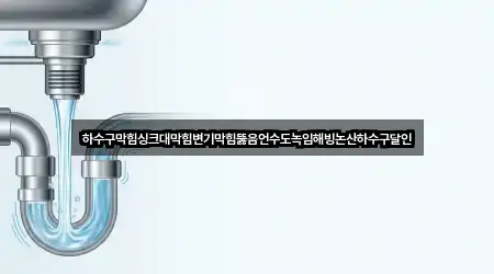 하수구막힘싱크대막힘변기막힘뚫음언수도녹임해빙논산하수구달인