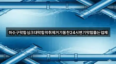 하수구막힘싱크대막힘악취제거기똥찬24시변기막힘뚫는업체