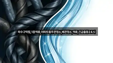 하수구막힘,1층역류,아파트횡주관청소,배관청소,역류,긴급출동24시