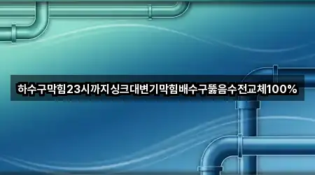 경기 안양시 배수구 뚫음 빠른 조회 2곳
