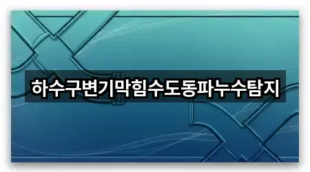 하수구변기막힘수도동파누수탐지