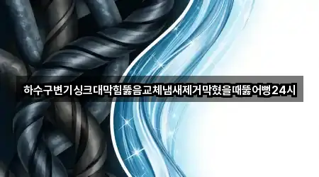 하수구변기싱크대막힘뚫음교체냄새제거막혔을때뚫어뻥24시