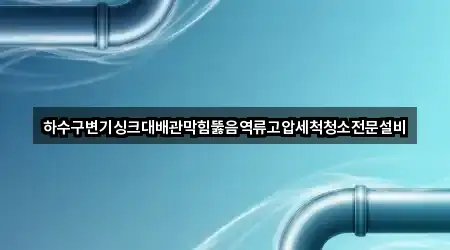 전북특별자치도 정읍시 수성동 배관막힘 5곳 간단 정리