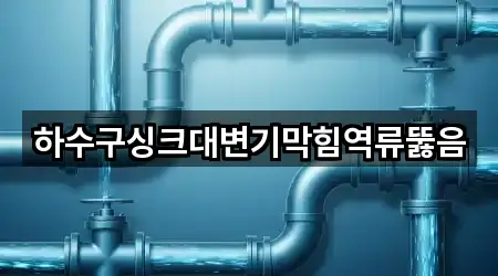 핵심만 보기: 분당구 수내동 변기막힘 2곳