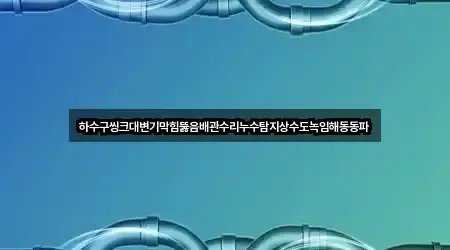 하수구씽크대변기막힘뚫음배관수리누수탐지상수도녹임해동동파