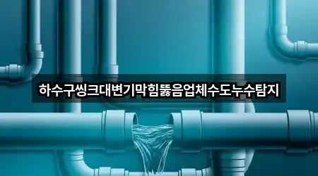 하수구씽크대변기막힘뚫음업체수도누수탐지