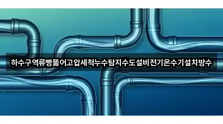 하수구역류뻥뚫어고압세척누수탐지수도설비전기온수기설치방수