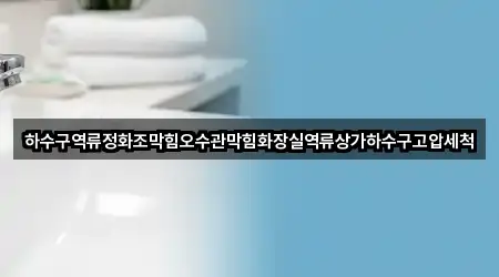 하수구역류정화조막힘오수관막힘화장실역류상가하수구고압세척