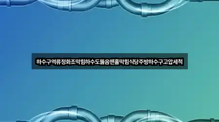 하수구역류정화조막힘하수도뚫음맨홀막힘식당주방하수구고압세척