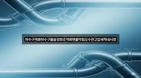 하수구역류하수구뚫음정화조역류맨홀막힘오수관고압세척내시경