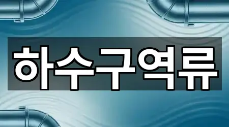 실시간 업데이트: 서울 양천구 신월동 하수구 역류 5곳