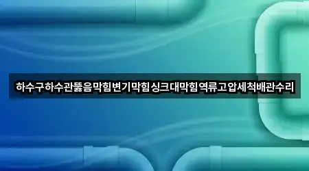 지금 인기 경기 감이동 하수관 뚫음 2곳