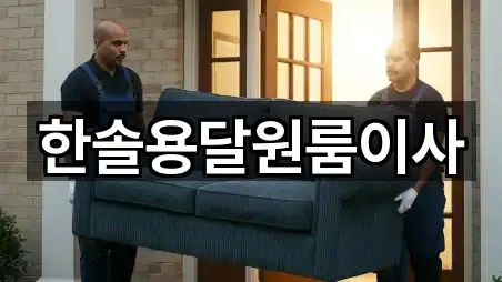 한솔용달원룸이사