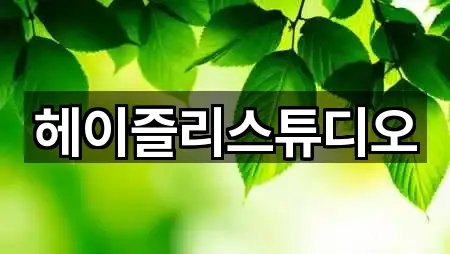 대구 서구 웨딩스냅 가격/비용 5곳