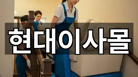 창원시 마산회원구 석전동 포장이사 5곳 즉시 확인