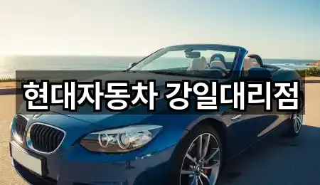 현대자동차 강일대리점