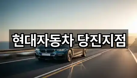 당진시 대덕동 자동차전시장 1곳 가까운 위치