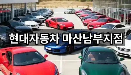 경상남도 창원시 마산합포구 평화동 자동차전시장 1곳 지도로 이동