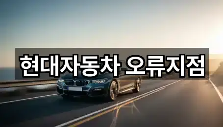 현대자동차 오류지점