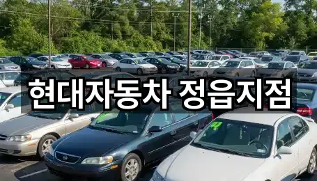 정읍시자동차전시장 4곳 근처 총정리