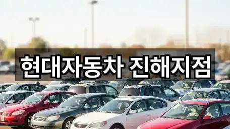 원페이지: 경남 창원시 진해구 석동 자동차전시장 1곳