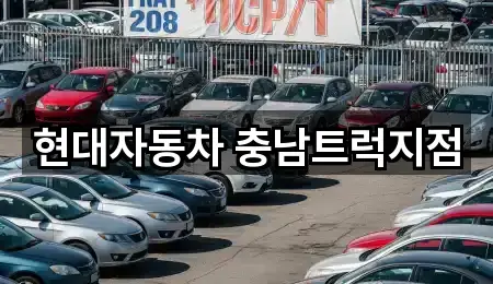 충남 온천동 자동차전시장 1곳 주소 카탈로그
