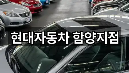 경남 함양군 병곡면 자동차전시장 1곳 지도 모음