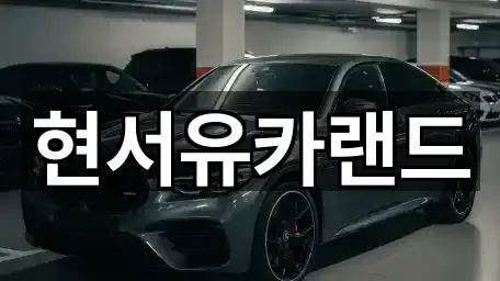 현서유카랜드