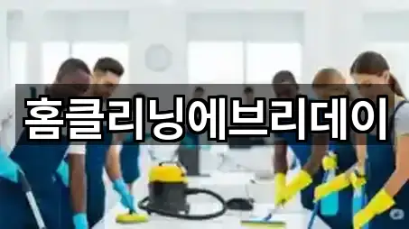 홈클리닝에브리데이