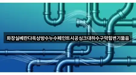 화장실베란다옥상방수누수페인트시공싱크대하수구막힘변기뚫음