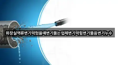 서울특별시 길동 변기뚫음 3곳 즉시 확인