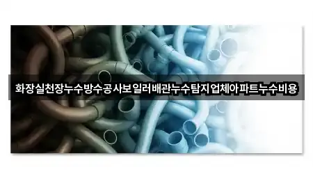 화장실천장누수방수공사보일러배관누수탐지업체아파트누수비용