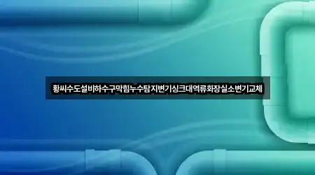 황씨수도설비하수구막힘누수탐지변기싱크대역류화장실소변기교체