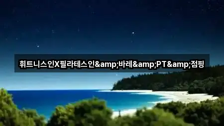 휘트니스인X필라테스인&바레&PT&점핑