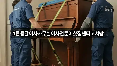 요약 | 인천광역시 강화군 교동면 사무실이사 5곳