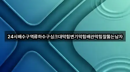 24시배수구역류하수구싱크대막힘변기막힘배관막힘잘뚫는남자