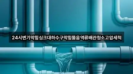 24시변기막힘싱크대하수구막힘뚫음역류배관청소고압세척