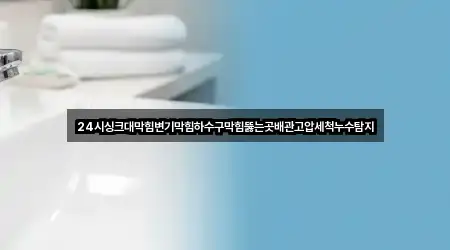 24시싱크대막힘변기막힘하수구막힘뚫는곳배관고압세척누수탐지