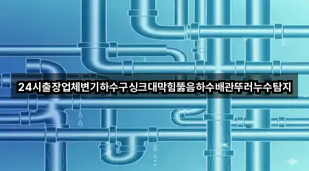 24시출장업체변기하수구싱크대막힘뚫음하수배관뚜러누수탐지