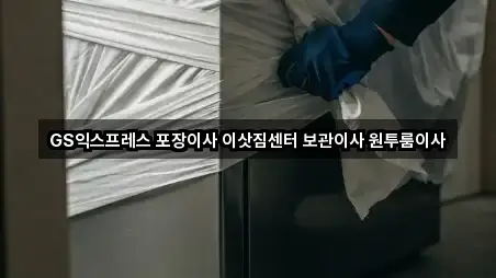 GS익스프레스 포장이사 이삿짐센터 보관이사 원투룸이사