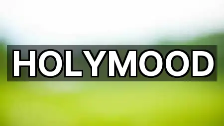 HOLYMOOD