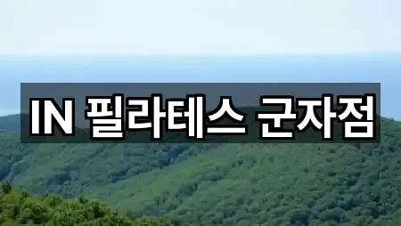 IN 필라테스 군자점