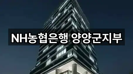 강원 양양읍 은행 지금 연락 5곳