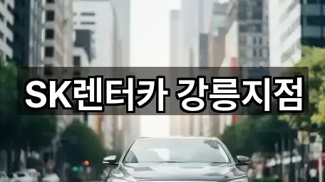 강원 금학동 장기렌트카 위치 체크 1곳