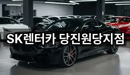 실시간 충청남도 우두동 장기렌트카 1곳