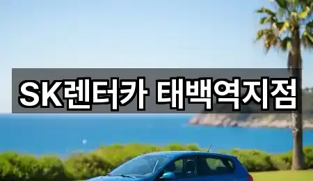 즉시 지도: 강원 황지동 렌트카 5곳